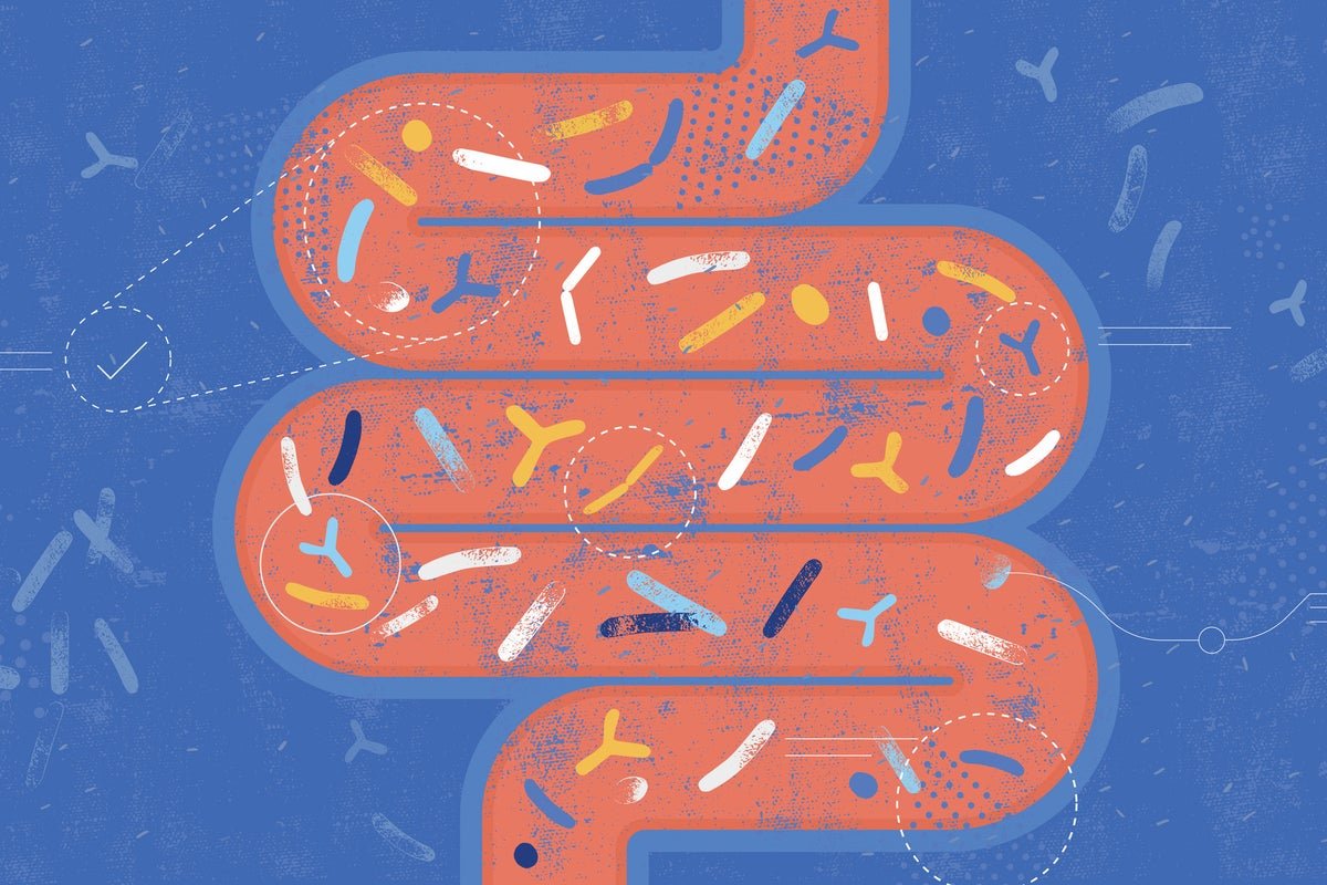 Microplastics can affect the gut in ways that mirror the impact of cancer, research suggests