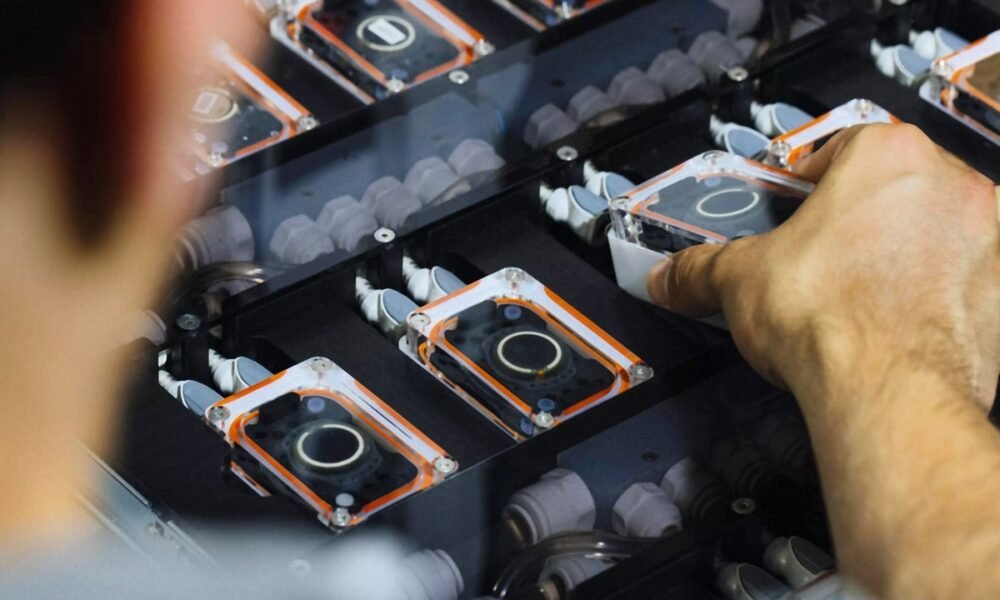 Elon Musk’s Neuralink says 10,000 patients have signed up for its brain chip