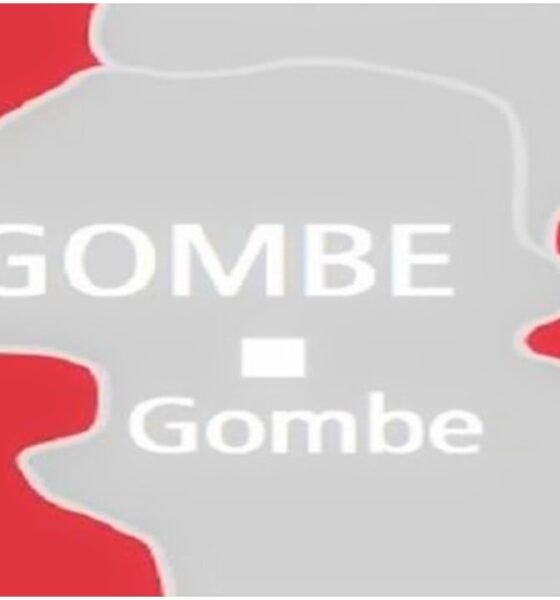 "Breaking News: Gombe Appoints Dynamic New Permanent Secretary for Health Ministry – What This Means for Your Health!"